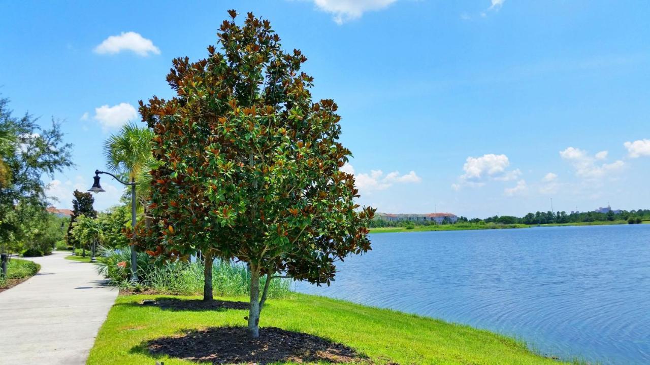 Gorgeous 1St-Floor, End Unit Condo W Lakeview Orlando Eksteriør bilde